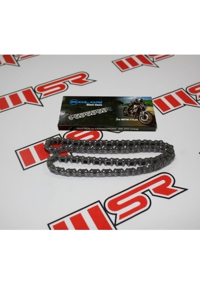 Eksantrik Zinciri Apache 94x3 Rolon (541732054)