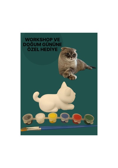 3d Kedi Figür Boyama Seti - Kendin Boya Hobi Ve Etkinlik Seti - Akrilik Boya + 2 Fırça