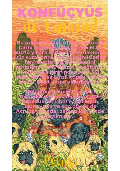 Petjoo 9.Konfüçyüs Sarı-Pembe Qr'lı Köpek Künyesi