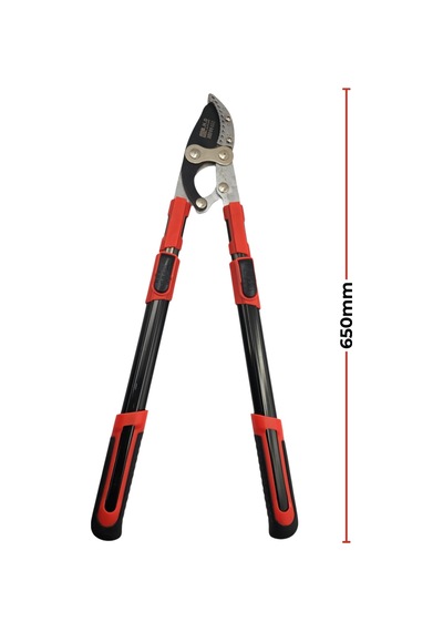 Fixonic B.h.d Bhd00453 5cm Teleskopik Sap Uzatmalı Sap Dal Biçme Makası