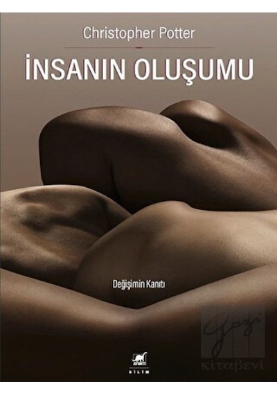 İnsanın Oluşumu  - Christopher Potter  - Ayrıntı Yayınları