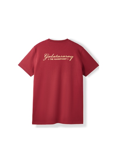 Gsstore Galatasaray Erkek T-shirt E252138 Bordo