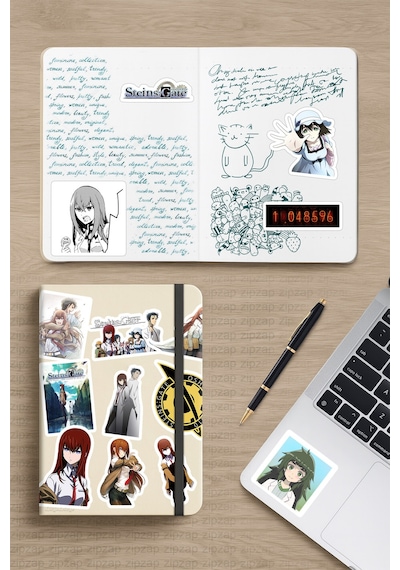 Steins Gate Anime Sticker Paketi 20 Adet Çok Renkli