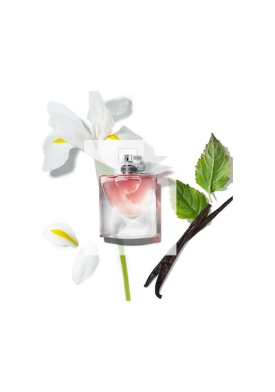 Lancome La Vie Est Belle Kadın Parfüm EDP 100 ML