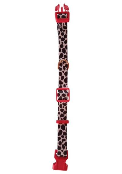 Mcg Köpek Tasması Ve Gezdirme Kayışı 150 Cm Renkli
