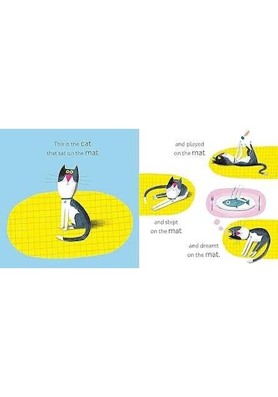 Nosy Crow Cat And The Rat And The Hat