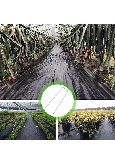 50 Adet Sera Taban Örtüsü Çivisi Ve Malç Örtüsü Kazığı 15 Cm Uzunluk 4 Mm Kalınlık - Galvanizli Yer Örtüsü Ve Çim Pimi Agro Tekstil Ve Bahçe Sabitleme Çivisi