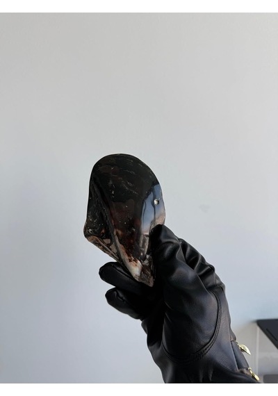Deniz Kabuğu Tek İncili Pteria Penguin Sedefli Dekoratif Kabuk 7-9 Cm 1 Adet Genel