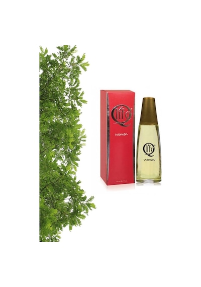Qlife 163 Kadın Parfüm EDT 50 ML