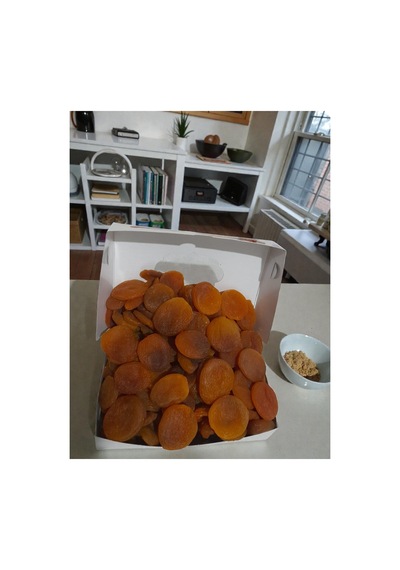 Düşük Sarı Malatya Kayısısı Taze Yeni Mahsul Jumbo Ekonomik 1 Kg Diğer