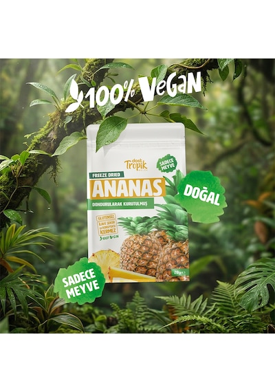 Dondurularak Kurutulmuş Ananas 20 G Freeze Dried Meyve Cipsi Çıtır Meyve Kurusu 6 Adet