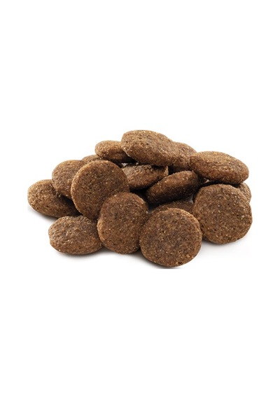 Brit Premium By Nature Büyük Irk Yetişkin Köpekler İçin, Tavuk Etli Kuru Mama 15 Kg