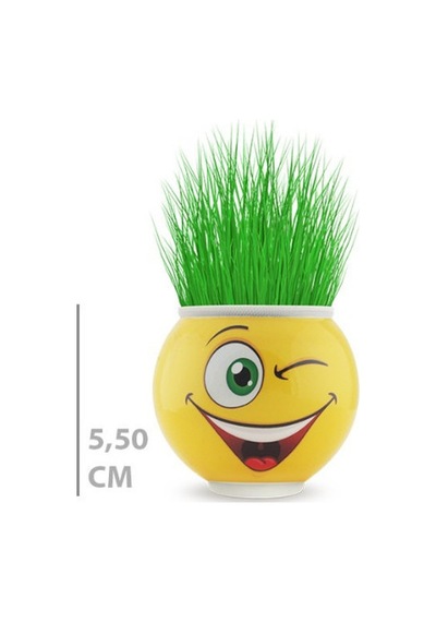 Veraura Lifestyle Çim Adam Saksı Emoji Figürlü 1 Adet Sarı