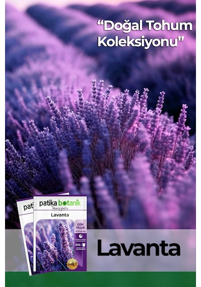 Patika Botanik 100 Adet Lavanta Lavandula Çiçek Tohumu