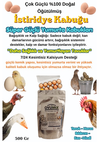 Doğal İstiridye Kabuğu 500 Gr - Tavuklar İçin Kalsiyum Desteği, Yumurta Kabuk Güçlendirici Ve Verim Artırıcı