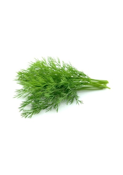Arzuman Dereotu Tohumu 25 G