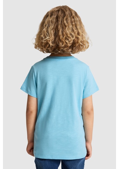U.S. Polo Assn. Erkek Çocuk Aqua Tişört 50327044-vr007