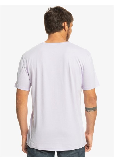 Quiksilver Complogo M Tees Erkek Tişört Eqyzt06534-Pfm0
