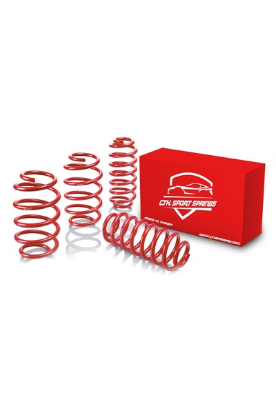 Peugeot 301 Spor Helezon Yay 50 Mm Ctk Spor Springs