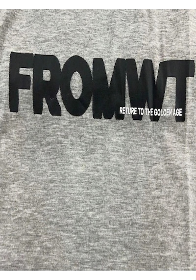 Fromwt T-shirt - Gri Baskılı Oversize Bisiklet Yaka Kısa Kol Gri