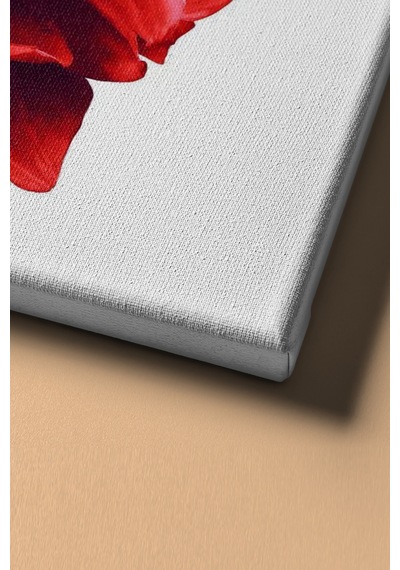 Webstyle Sayılarla Boyama Seti Kasnaklı Yıldız Çiçeği 50 X 65 Cm