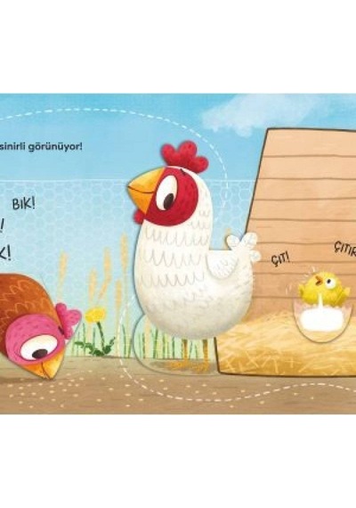 Eolo Aç Bak Serisi - Çiftlik