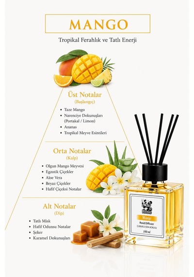 3'lü Mango Çubuklu Oda Kokusu 100 Ml Fresh
