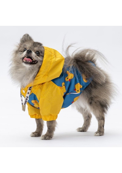 Pawstar Pekin Yağmurluk Küçük Ve Orta Irk