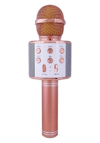 Leerfei Lf-858 Kablosuz Mikrofon Hoparlör
