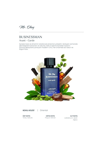 Mr. Okay Businessman Avant Garde 50 Ml Oryantal