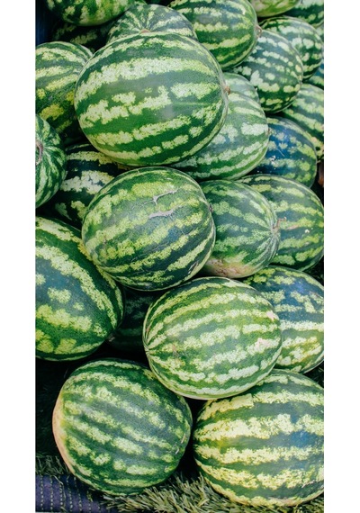 Eski Tip Yerli Yuvarlak Yeşil Karpuz Ata Tohumu 10 Adet