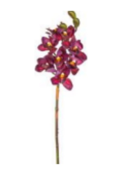 Yapay Çiçek Orkide Gerçek Dokulu Bordo 75 Cm. Çok Renkli
