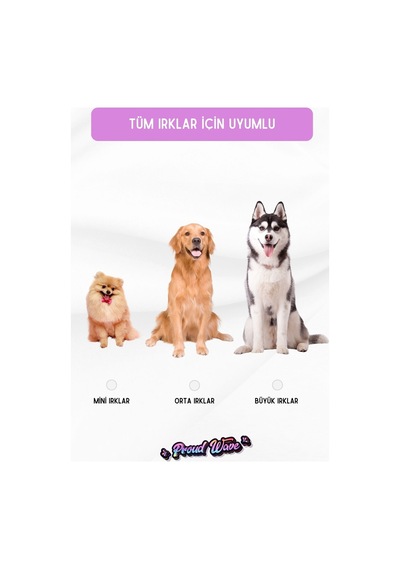 Peluş Şişe Köpek Oyuncağı Kemirme Oyuncağı Çekiştirmeli 2'li Set Hışırdayan Oyuncak
