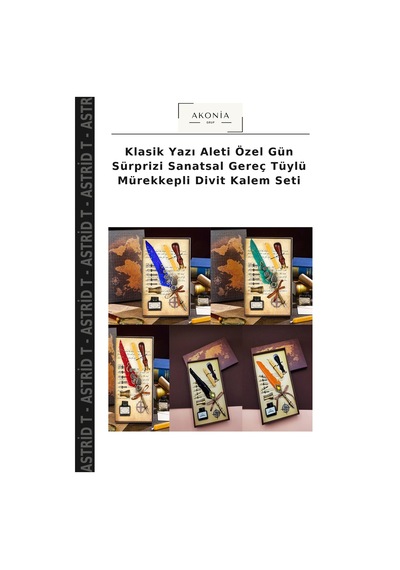Klasik Yazı Aleti Özel Gün Sürprizi Sanatsal Gereç Tüylü Mürekkepli Divit Kalem Seti