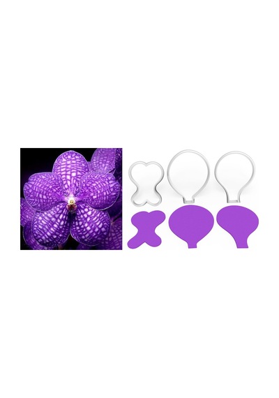 Vanda Orkide Yapım Kesici Set 3 Parça
