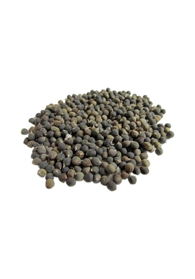 Bamya Tohumu 1 KG