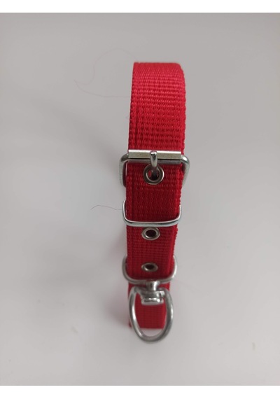 Kozaklı Küçük Irk Köpek Tasması Kırmızı 50 x 2.5 CM Kırmızı