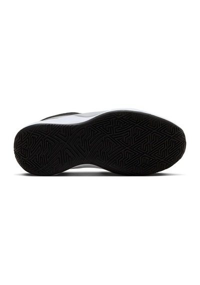 Nike Genç Basketbol Ayakkabısı Fq7378-003 Giannis Freak 6 Siyah Siyah