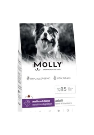 Molly Medium Large Adult Kuzu Etli Yaban Mersinli Yetişkin Köpek Maması 2 KG