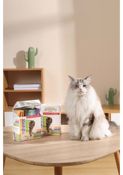 19041699-m-pets 4 Lezzet Karışık Kedi Creamy 40+8 Bedelsiz 48x15gr