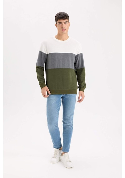 DeFacto Regular Fit Bisiklet Yaka Renk Bloklu Jakarlı Sweatshirt D5393AX24AUGN351