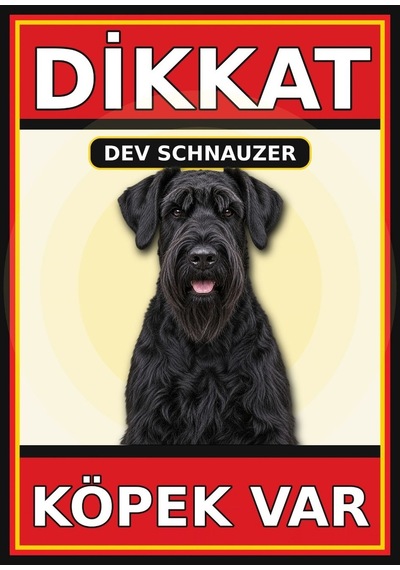 Dev Schnauzer Dikkat Köpek Var Levhası 50x70 Cm Uv Baskılı Pvc Uyarı Tabelası