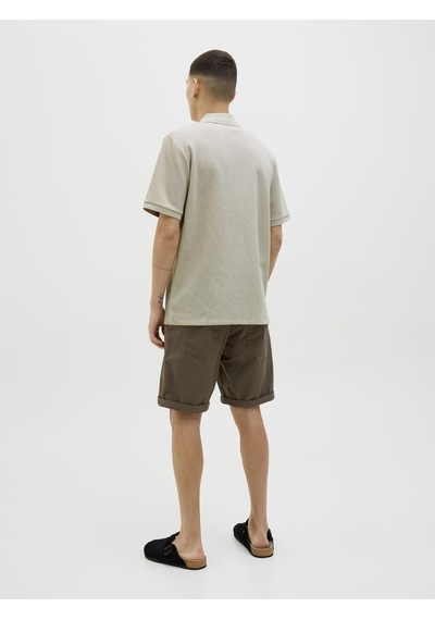 Jack & Jones Jjeaustın Zıp Polo Ss Noos Moonbeam Moonbeam Çok Renkli