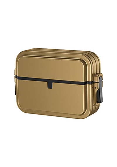 Airpods Pro 2 2.nesil 404 Kilitli Kılıf - Gold
