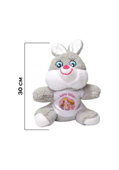 Kişiye Özel Anneler Günü Baskılı Peluş Tavşan Hk2659
