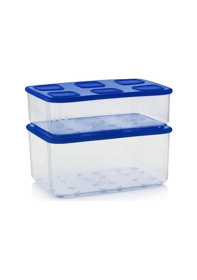 Tupperware Şeffaf Buzdolabı Saklama Kabı 2'li Set Çok Renkli