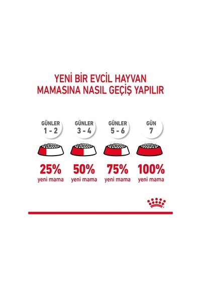 Ayrex Hair Skin Hassas Tüylü Kediler Için Mama 2 Kg