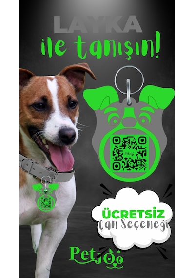 Petjoo 22.Layka Yeşil-Gri Qr'lı Köpek Künyesi