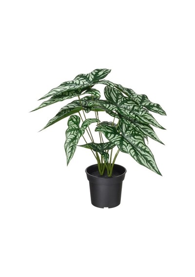 Ikea Fejka Yapay Bitki, Yeşil, 15 Cm, İç/dış Mekan Cercestis Mirabilis