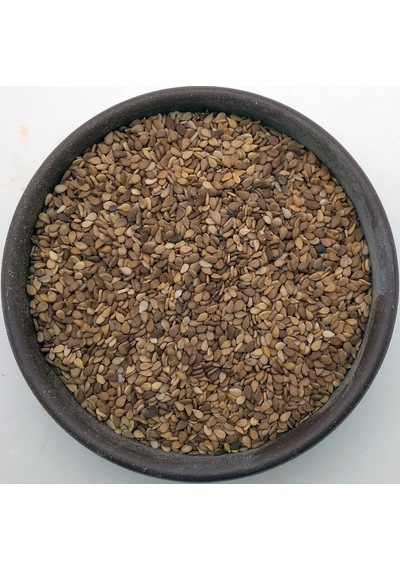 Hancıbey Çiğ Kabuklu Küncü 1 KG